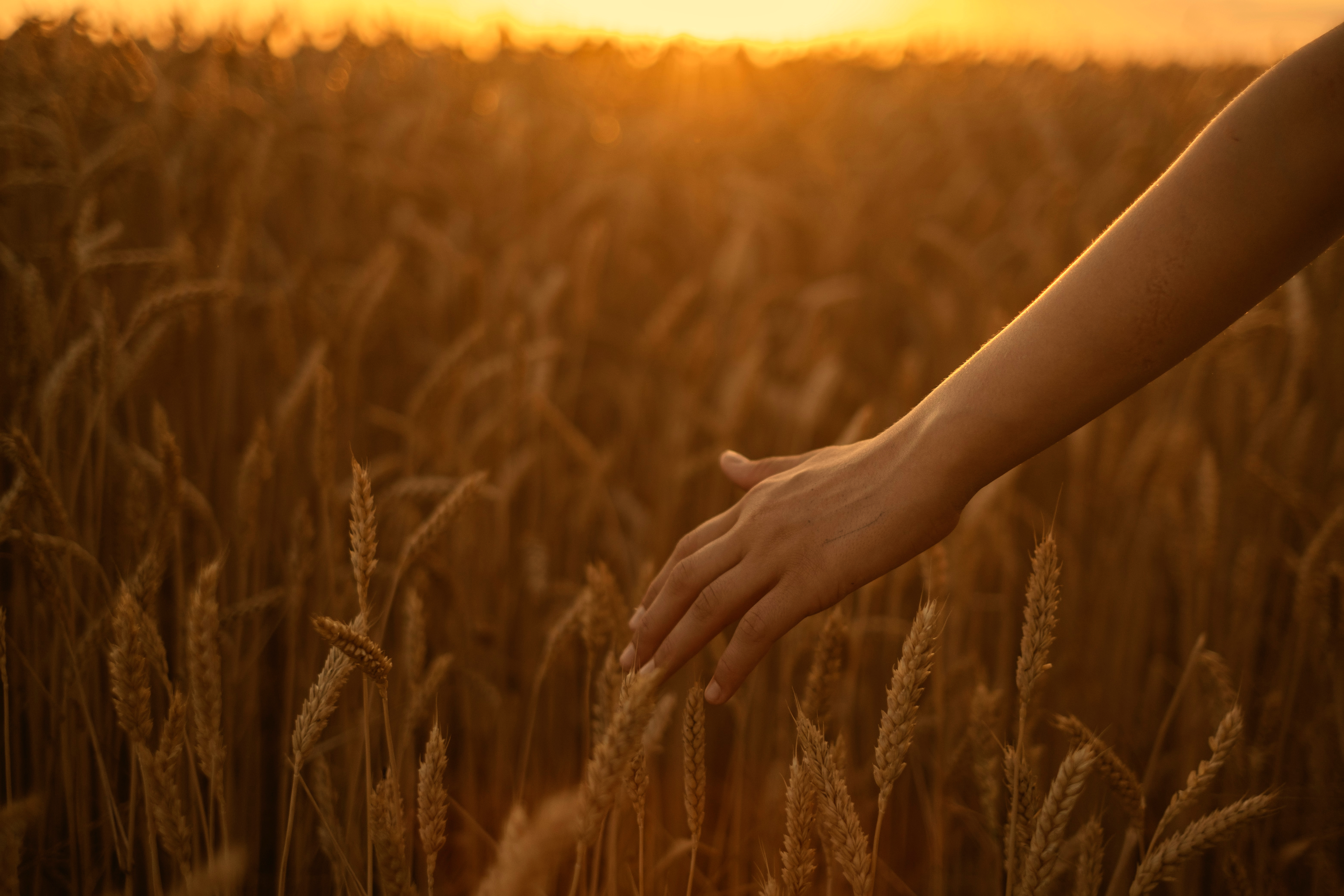 Fondo de la sección hero